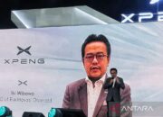 Xpeng mulai produksi lokal dua model kendaraan di semester 2